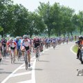 IMG_1041952
