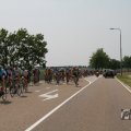 IMG_1041953