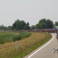 IMG_1041959