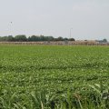 IMG_1041968