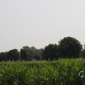 IMG_1040211