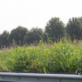 IMG_1040215