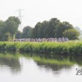 IMG_1040217