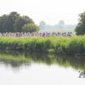 IMG_1040219