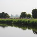 IMG_1040221
