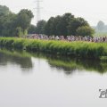 IMG_1040231