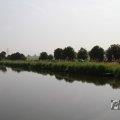 IMG_1040241