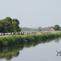 IMG_1040267