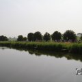 IMG_1040278