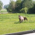 IMG_1040281