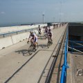 IMG_1040445