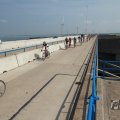 IMG_1040446