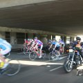 IMG_1039506