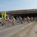 IMG_1039508
