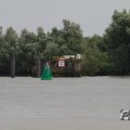 IMG_1043145