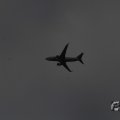 IMG_1043216