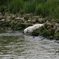 IMG_1043255