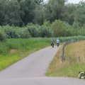 IMG_1043307
