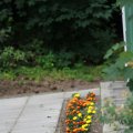 IMG_1043317