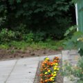 IMG_1043318