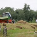 IMG_1043319