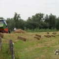 IMG_1043325