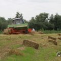 IMG_1043332
