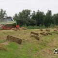 IMG_1043337