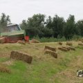 IMG_1043339