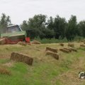 IMG_1043340