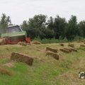 IMG_1043341