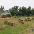 IMG_1043342