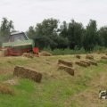 IMG_1043343