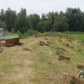 IMG_1043348