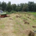 IMG_1043357