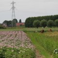 IMG_1043382
