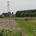 IMG_1043383