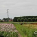 IMG_1043384
