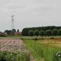 IMG_1043385