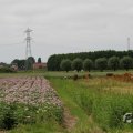IMG_1043386