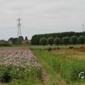 IMG_1043387