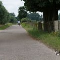 IMG_1043389