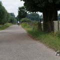 IMG_1043390