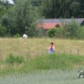 IMG_1043391