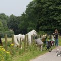 IMG_1043409