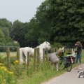 IMG_1043410