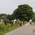 IMG_1043411