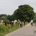 IMG_1043412