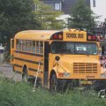 IMG_1043415