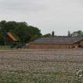 IMG_1043422